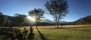 10 Aug 2018- Contentment1