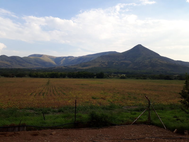 13 July 2018 - Keep up with the farm at Saragossa Game Reserve