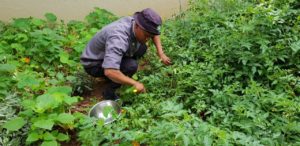 13 July 2018 - Keep up with the farm at Saragossa Game Reserve3