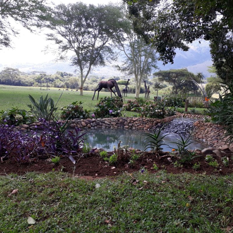 15 May - Ecotourism Sustaining life, breeding a future